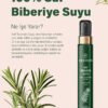 Biberiye Suyu_5