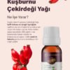 Kuşburnu_5